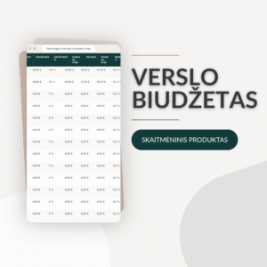 Verslo biudžeto sistema