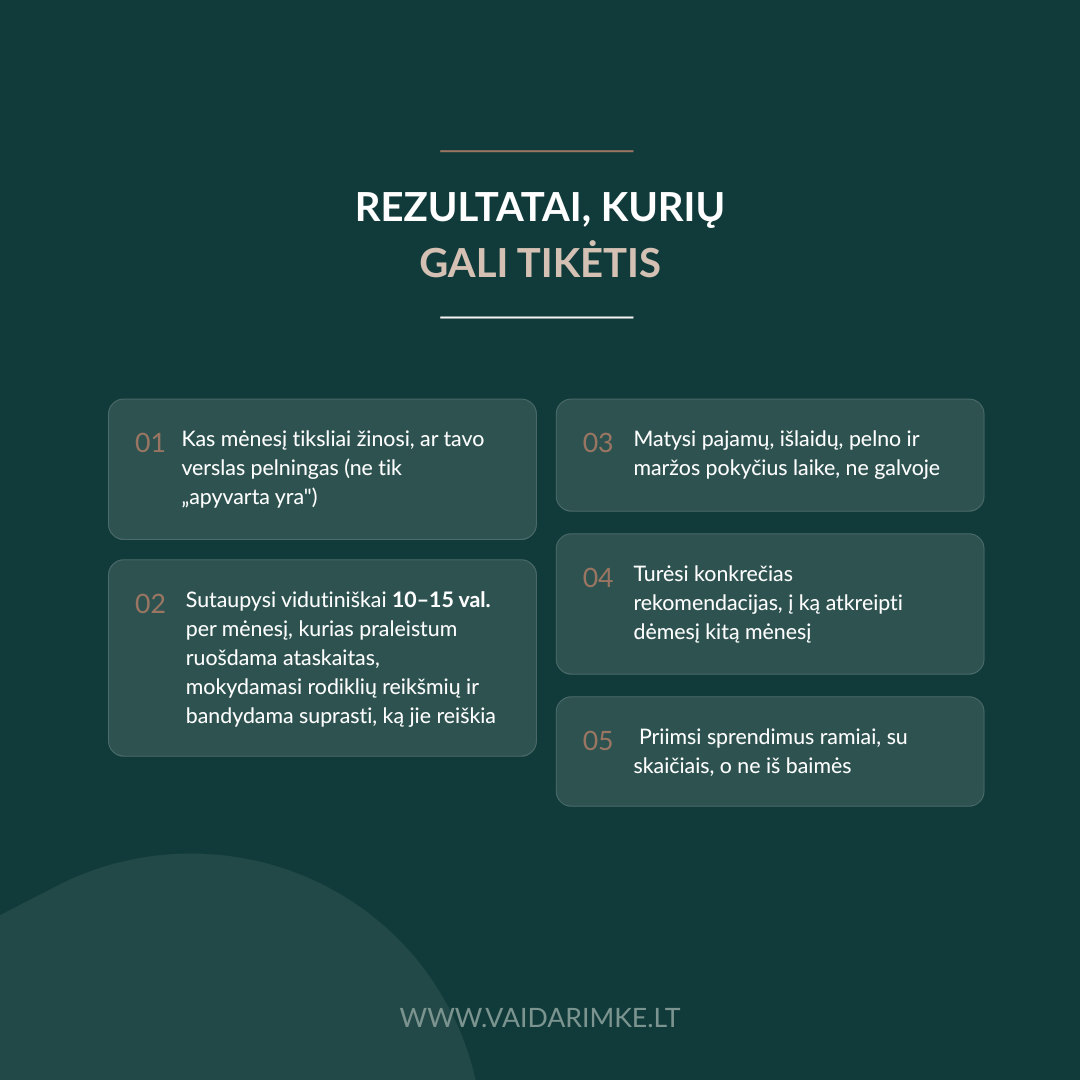Verslo finansų prenumerata - Image 4