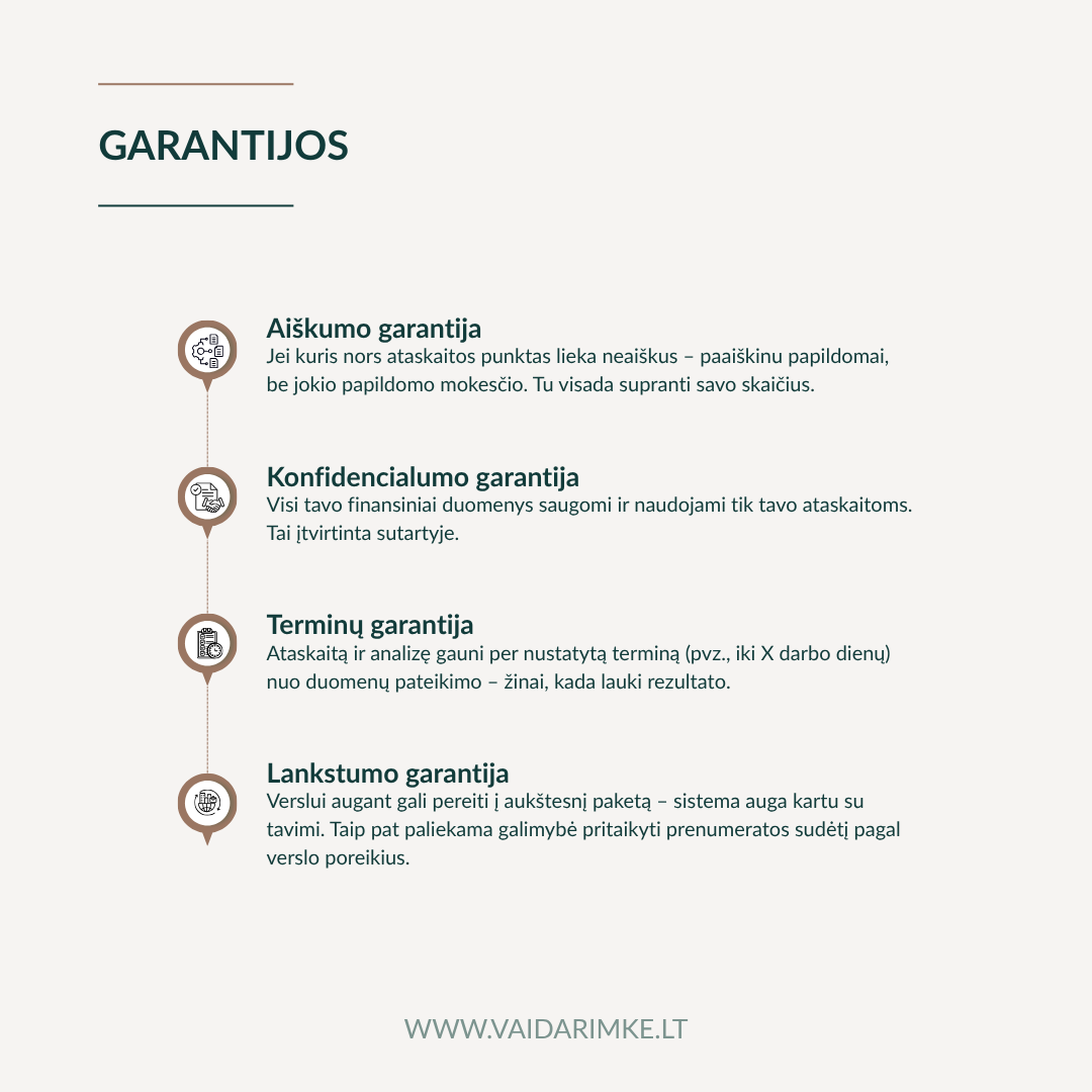Verslo finansų prenumerata - Image 8